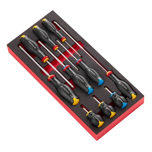 10 PROTWIST® screwdriver in foam module, small 1/3"